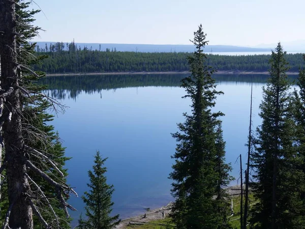 Impresionante Vista Del Marco Del Lago Yellowstone Por Los Pinos —  Fotos de Stock