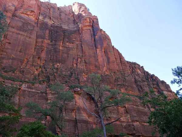 Imponentes Muros Piedra Arenisca Roja Acantilados Empinados Templo Sinawava Parque — Foto de Stock