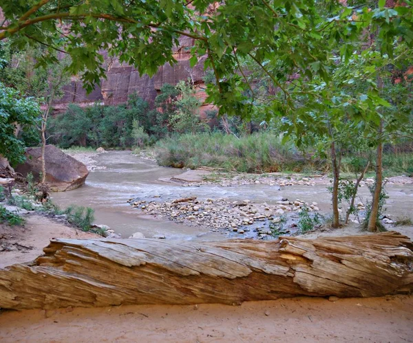 Virgin River Zion National Park Utah — стокове фото