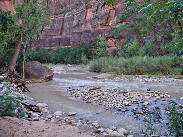 Der Jungfräuliche Fluss Fließt Entlang Des Canyonbodens Des Zion Nationalparks — Stockfoto