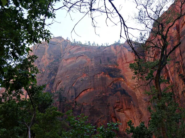Blick Auf Die Roten Felswände Oberhalb Des Jungfräulichen Flusses Zion — Stockfoto