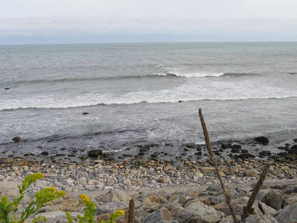 Rocky Strandlinje Med Gule Blomster Langs Vejen - Stock-foto