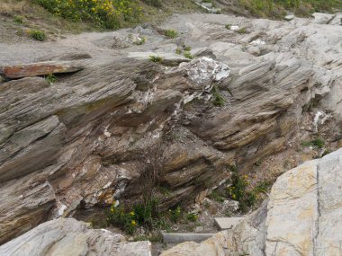 Jamestown, Rhode Island 'da bir sahil bölgesinde kireçtaşı ve kaya yığınları var..