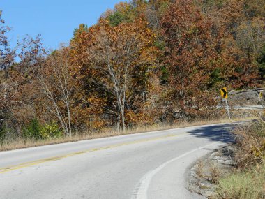 Arkansas 'ın dolambaçlı yolları boyunca ağaçların canlı renkleri.