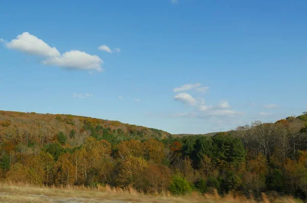 Colori Mozzafiato Dell Autunno Sugli Alberi Fogliame Arkansas — Foto Stock