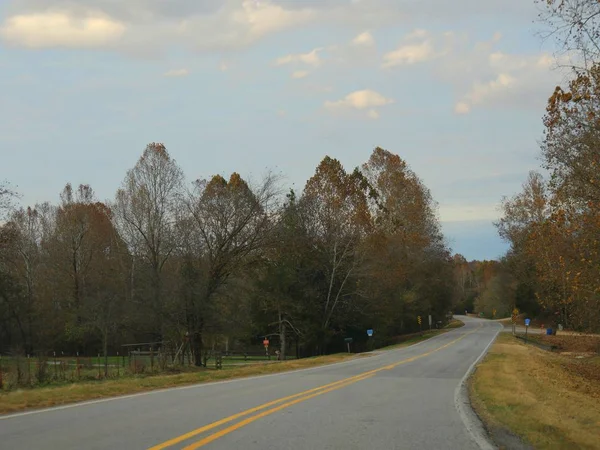 Estrada Sinuosa Com Folhas Coloridas Árvores Outono — Fotografia de Stock