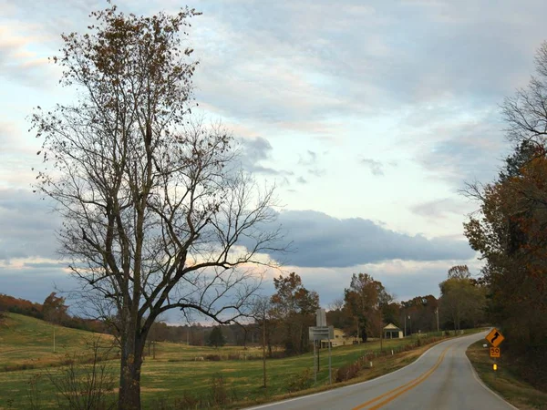 Живописный Вид Фермы Луга Извилистыми Дорогами Красочными Деревьями Арканзасе — стоковое фото