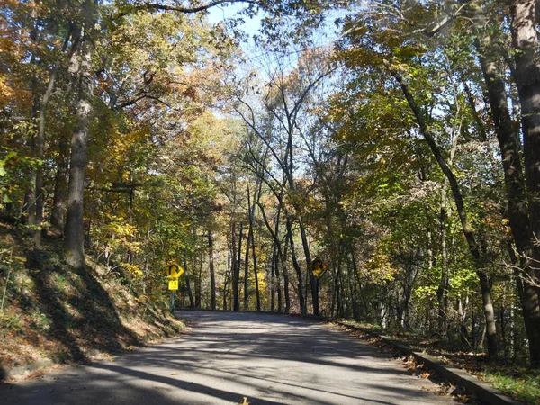 Farben Des Sturzes Den Bäumen Entlang Einer Straße Arkansas — Stockfoto