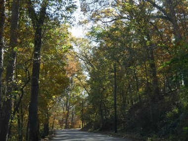 Arkansas 'ın kıvrımlı kaldırımlı yolları boyunca manzara sonbahar renkleri.