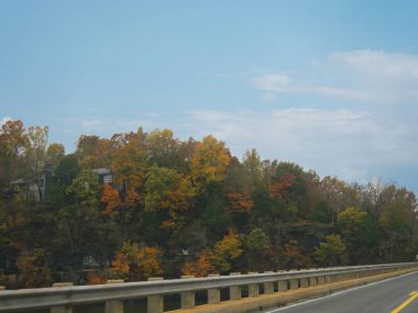 Arkansas, Usa 'da sonbaharda ağaçların canlı renkleriyle yol kenarı manzarası.