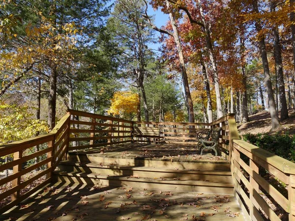 Kleurrijke Bomen Herfst Werpen Schaduwen Een Houten Loopbrug Een Park — Stockfoto