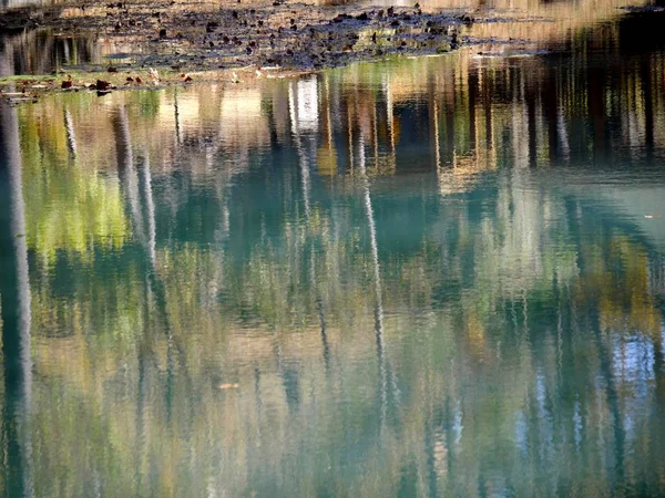 Beaux Reflets Couleurs Automnales Dans Eau — Photo