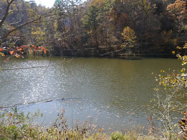 Vacker Utsikt Över Sjön Black Bass Eureka Springs Arkansas — Stockfoto