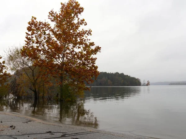 Широкий Снимок Живописного Вида Озеро Красочных Деревьев Озера Осенью — стоковое фото
