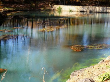 Sonbaharda sulara yansıyan renkli ağaçların olduğu mavi bir pınarın yakınında. 