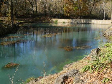 Sonbaharda sulara yansıyan renkli ağaçlarla mavi bir pınarın manzarası. 