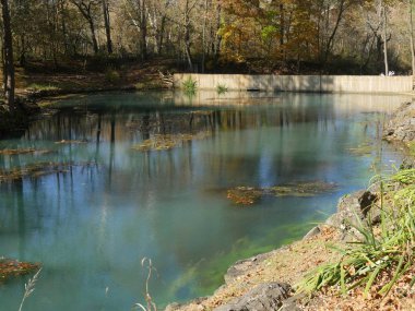 Sonbaharda sulara yansıyan renkli ağaçlarla mavi bahar manzarası. 