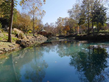 Renkli ağaçların yansıttığı açık mavi bir pınarın suları.