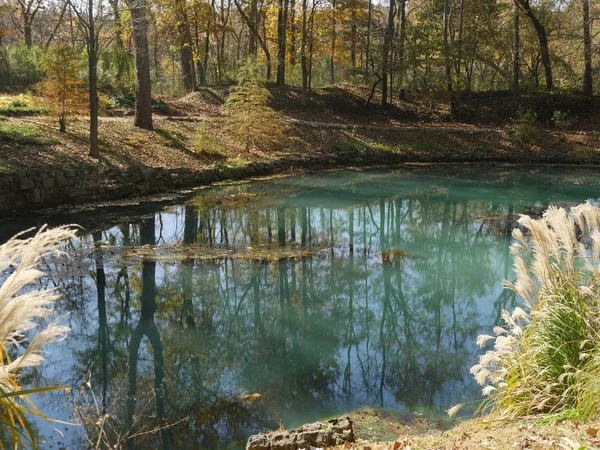 Belle Vue Panoramique Arbres Colorés Automne Reflétée Dans Les Eaux — Photo