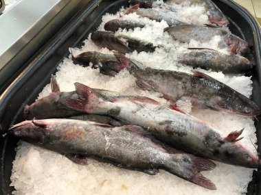 Deniz ürünleri pazarında ezilmiş buz üzerinde yayınbalığı sürüleri.