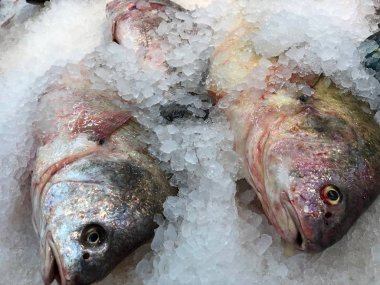 Deniz ürünleri pazarında ezilmiş buzla korunmuş çiğ balıklara yakından bakın.