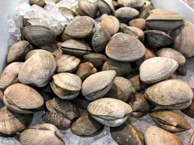 Bir deniz ürünleri pazarında ezilmiş buzun üzerinde bir yığın ham midye.