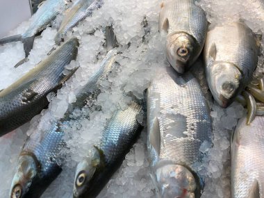 Orta boy süt balığı ya da deniz ürünleri pazarında ezilmiş buza bangus.. 