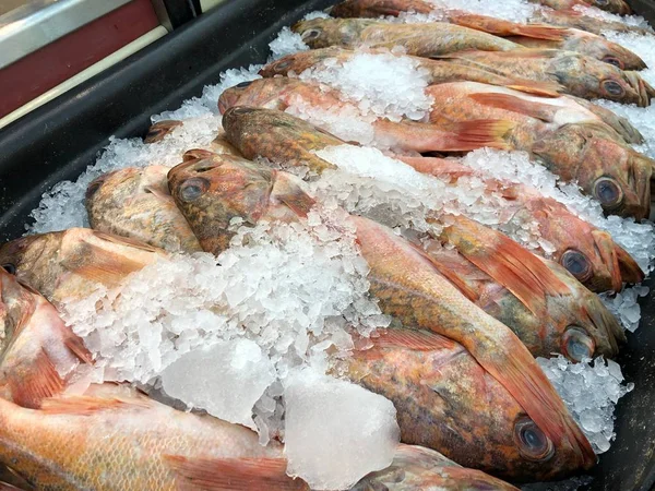 Pescado Pargo Rojo Con Hielo Picado Mercado Mariscos — Foto de Stock