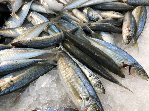 魚介類市場での砕いた氷の中の新鮮なサバ — ストック写真