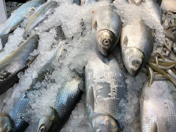 新鮮なミルクフィッシュを閉じ込めたり 湿った市場で砕いた氷にぶつかったり — ストック写真