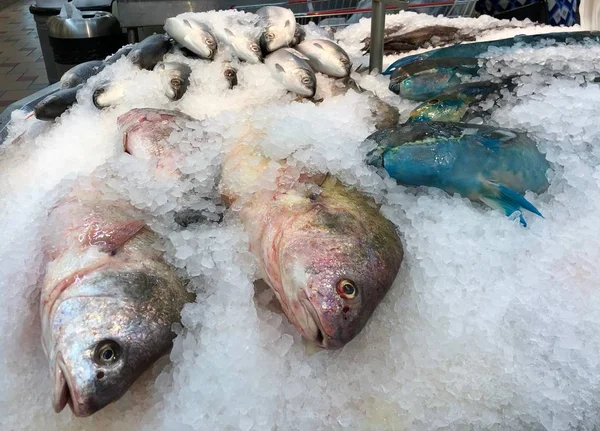 Capturas Pescado Crudo Con Hielo Picado Mercado Mariscos — Foto de Stock