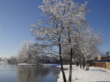 Kış sabahı gölün güzel manzarası, arka planda ördekler yüzüyor. 