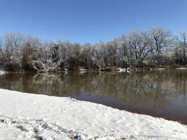 Schneebedeckte Blattlose Bäume Die Sich Winter Einem Teich Spiegeln — Stockfoto