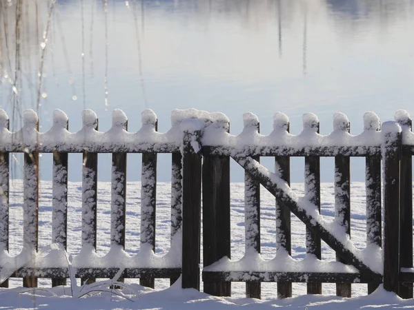 Schnappschuss Einer Eisbedeckten Weide Hintergrund Ein Holzzaun — Stockfoto
