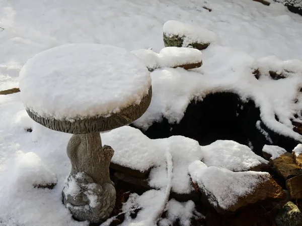 The ground and a bird bath all covered with snow on a winter morning