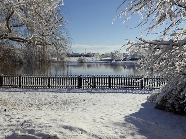 Beautiful view by the pond, with the ground covered with fresh snow