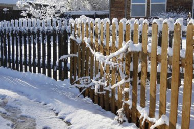 Taze yağmış kar, bir kış sabahı ahşap bahçe çitlerinin tepelerini ve toprağı kaplar.
