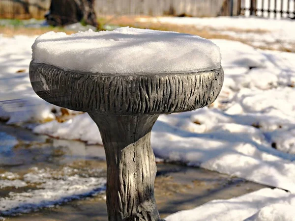 Een Laag Sneeuw Bedekt Top Van Een Vogelbad Een Achtertuin — Stockfoto