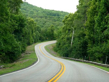 İlkbaharda yemyeşil ağaçlarla çevrili Manzaralı yol