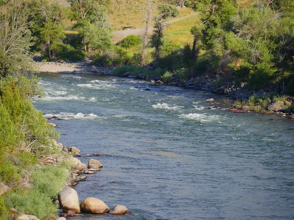 Річка Єллоустон Тече Нижче Дороги Парку Yellowstone Natiinal Park Вайомінгу — стокове фото