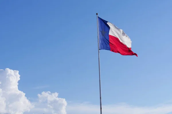 Vista Panorámica Una Bandera Del Estado Texas Poste — Foto de Stock
