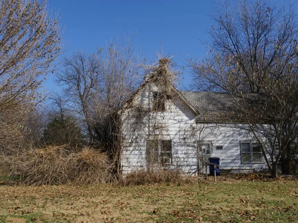 Abandoned House Surrounded Thick Shrubs Leafless Trees Winter — Stock fotografie