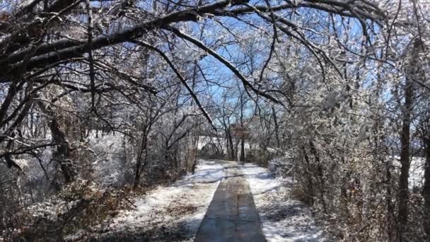 Disparo Mano Árboles Largo Una Pasarela Hormigón Cubierta Nieve Derritiéndose — Vídeo de stock