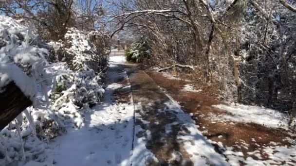 Coup de neige à la main recouvrant le sol et le sommet des arbustes 