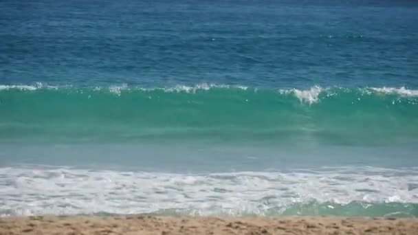 Tiro Mano Enormes Olas Rodando Hacia Las Orillas Playa — Vídeos de Stock