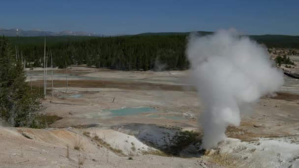 Steady Shot Black Growler Spewing Steam Yellowstone National Park Wyoming — Stock Video