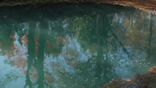 Stadig Skott Färgglada Blad Träd Återspeglas Poolen Blått Vatten Hösten — Stockvideo