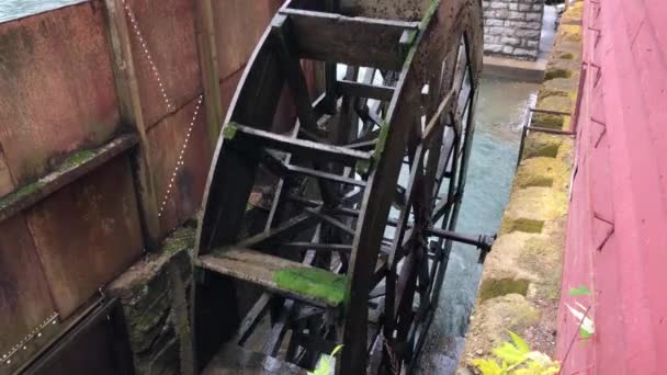 Nahaufnahme Einer Funktionierenden Wassermühle Einem Fluss — Stockvideo