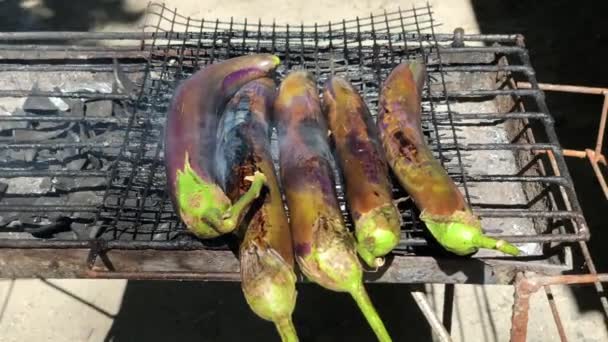 Handheld Shot Eggplants Grilling Hot Coals Outdoors — Stock Video