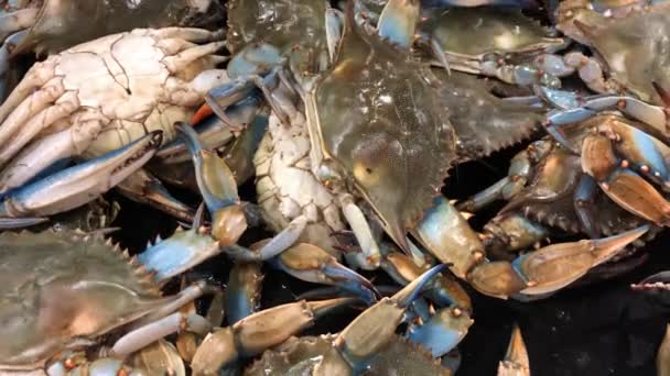 在商店海产食品区出售的成堆的活螃蟹 — 图库视频影像